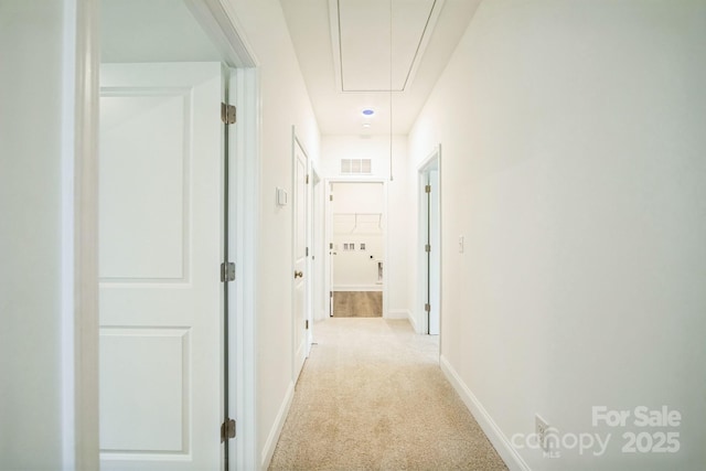 81 Walnut Springs Dr Unit 22-D, Asheville, NC 28804 - hallway featuring light carpet, visible vents, baseboards, and attic access