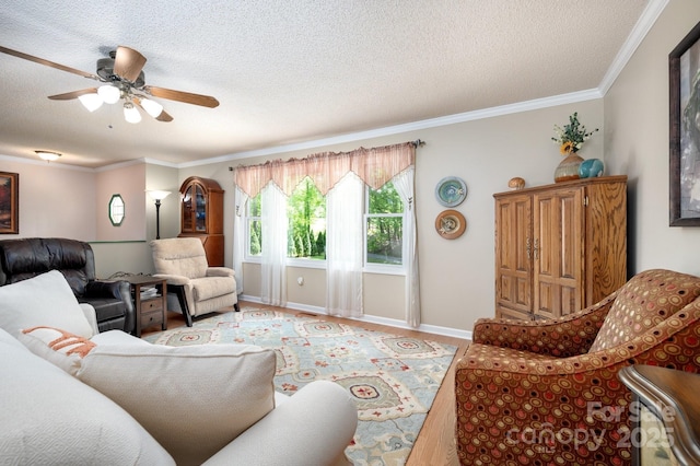 15 Heather Ln, Fairview, NC 28730 - living room with a textured ceiling, ornamental molding, a ceiling fan, baseboards, and light wood-style flooring