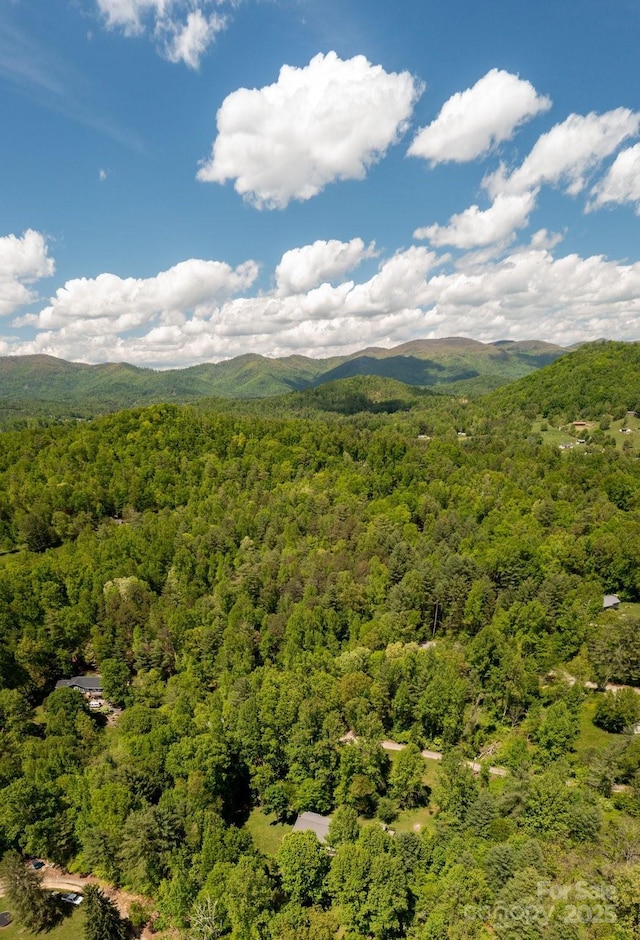 15 Heather Ln, Fairview, NC 28730 - view of mountain backdrop with a heavily wooded area