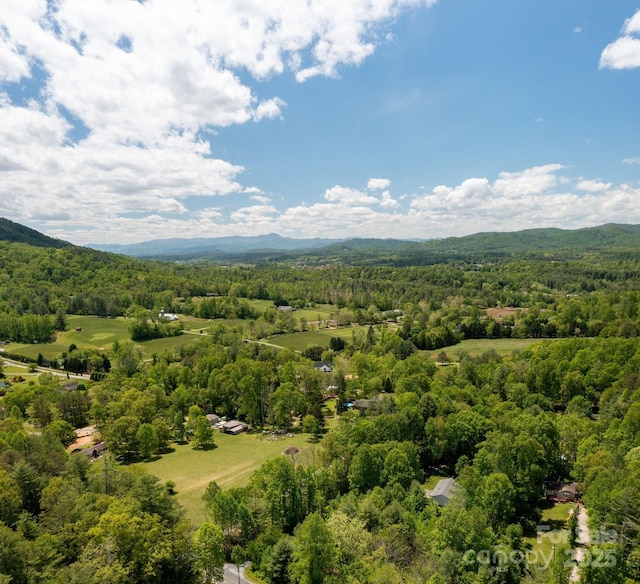 15 Heather Ln, Fairview, NC 28730 - bird's eye view of a forest and mountains
