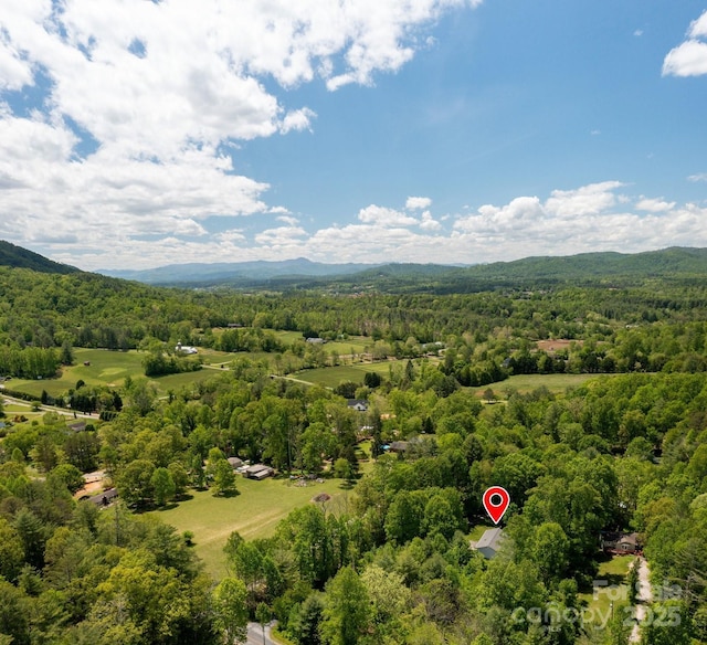 15 Heather Ln, Fairview, NC 28730 - bird's eye view of a forest and a mountainous background