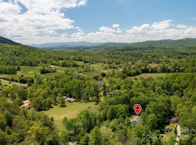 15 Heather Ln, Fairview, NC 28730 - bird's eye view of a forest and a mountainous background