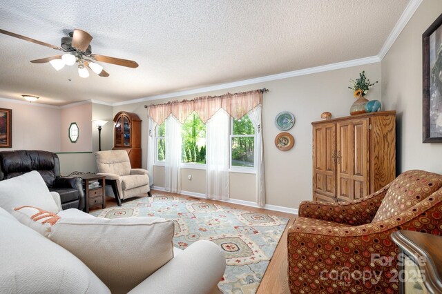 15 Heather Ln, Fairview, NC 28730 - living room featuring a textured ceiling, ornamental molding, a ceiling fan, baseboards, and light wood finished floors