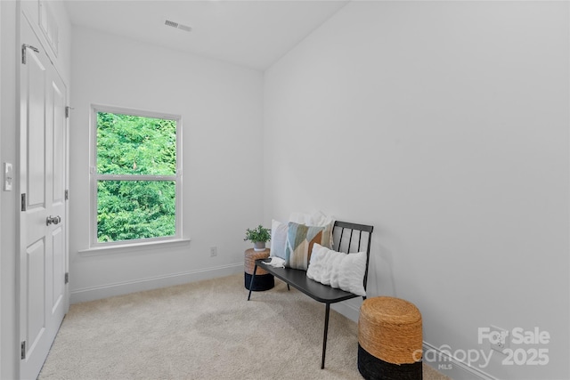 184 Cherry Springs Ln Unit 1-B, Asheville, NC 28804 - living area featuring healthy amount of natural light and carpet flooring