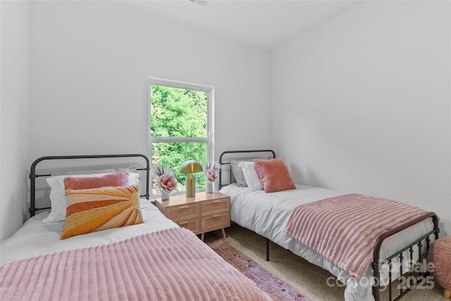 184 Cherry Springs Ln Unit 1-B, Asheville, NC 28804 - view of carpeted bedroom