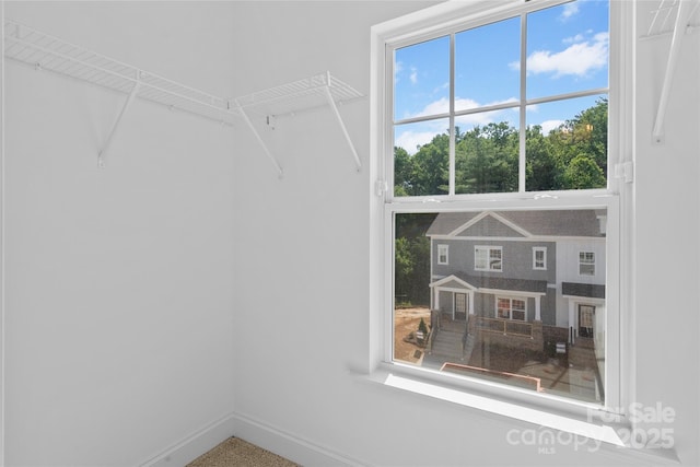 184 Cherry Springs Ln Unit 1-B, Asheville, NC 28804 - view of spacious closet