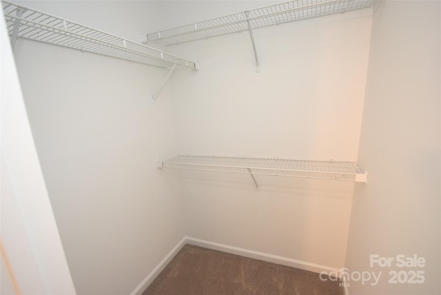 4704 Beech Crest Pl, Charlotte, NC 28269 - spacious closet with carpet