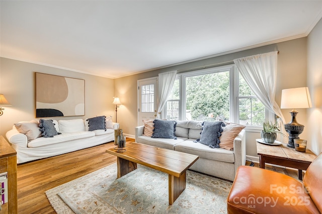 4607 Hedgemore Dr Unit H, Charlotte, NC 28209 - living room with light wood finished floors, baseboards, a wealth of natural light, and ornamental molding