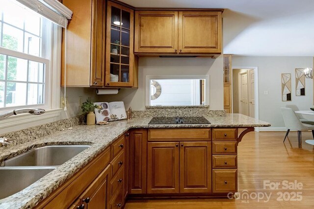 kitchen with light stone counters, a sink, brown cabinetry, light wood-style floors, and black electric stovetop
