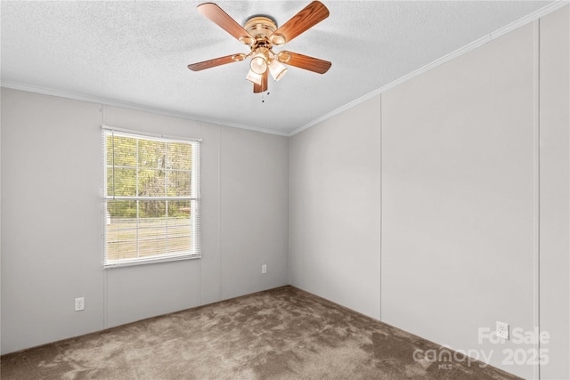 carpeted spare room featuring a ceiling fan, ornamental molding, and a textured ceiling