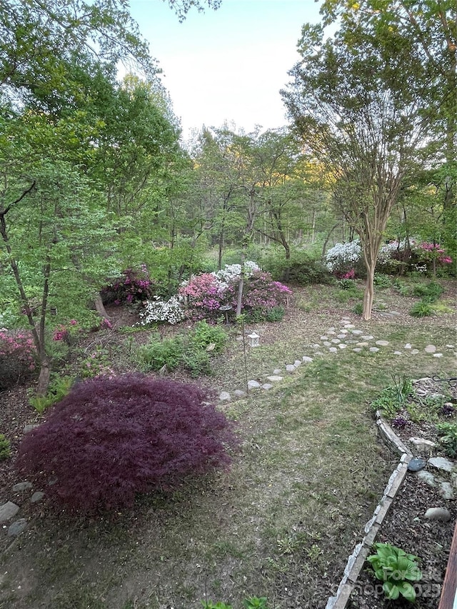 121 General Pemberton St, Stanley, NC 28164 - view of yard