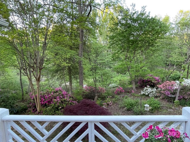 121 General Pemberton St, Stanley, NC 28164 - view of yard