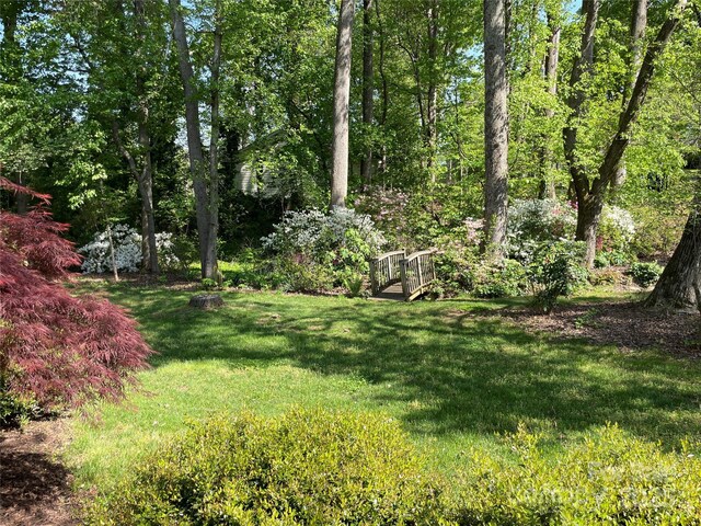 121 General Pemberton St, Stanley, NC 28164 - view of yard