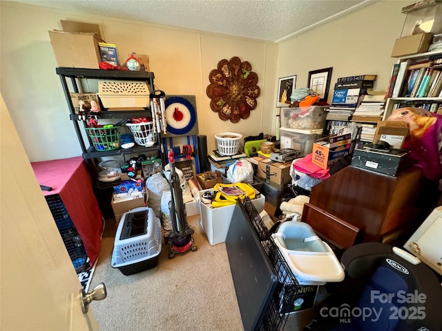 2084 Bristol Creek Ave, Morganton, NC 28655 - view of storage room