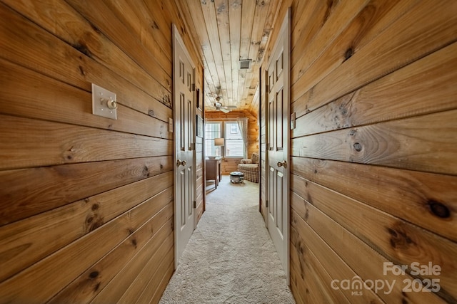 hall with wooden walls and carpet flooring