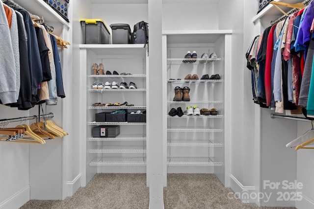 7748 Long Bay Pkwy, Catawba, NC 28609 - walk in closet with carpet flooring