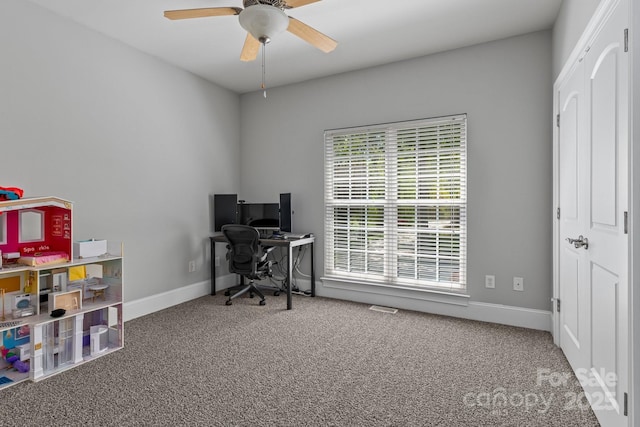 7748 Long Bay Pkwy, Catawba, NC 28609 - office area with carpet floors, a ceiling fan, and baseboards