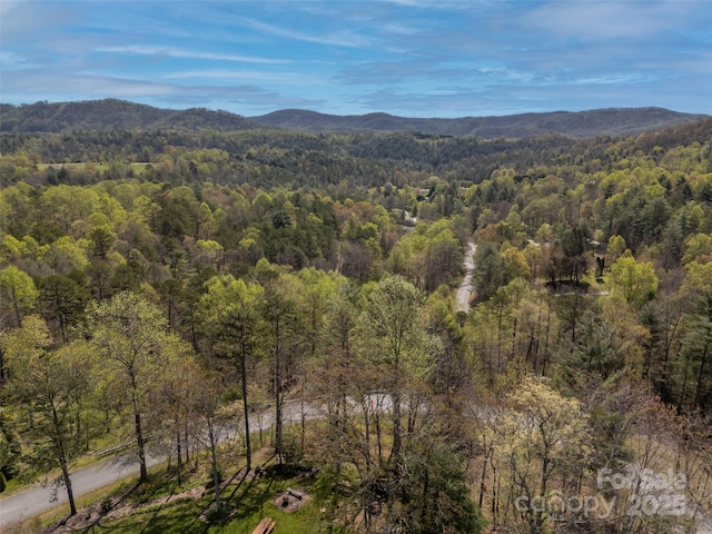 property view of mountains featuring a forest view