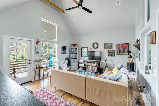 976 Riceville Rd, Asheville, NC 28805 - photo 5