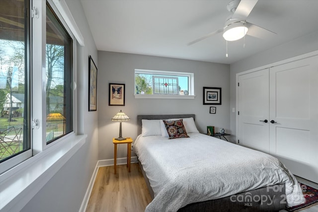 976 Riceville Rd, Asheville, NC 28805 - photo 24