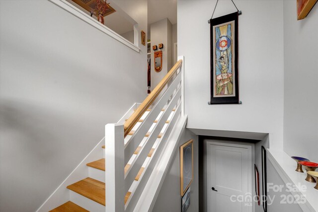 976 Riceville Rd, Asheville, NC 28805 - photo 29