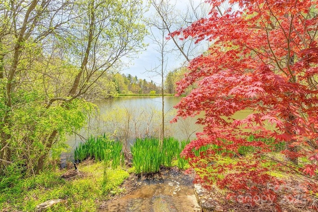 water view featuring a forest view
