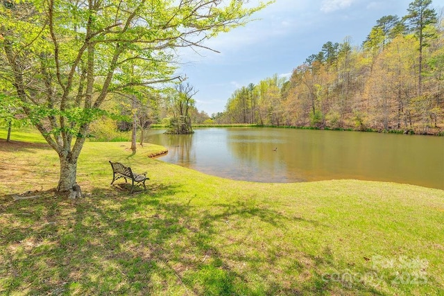 property view of water featuring a wooded view