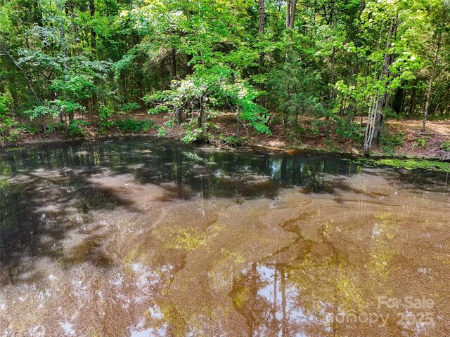 475 Mcmanus Rd, Pageland, SC 29728