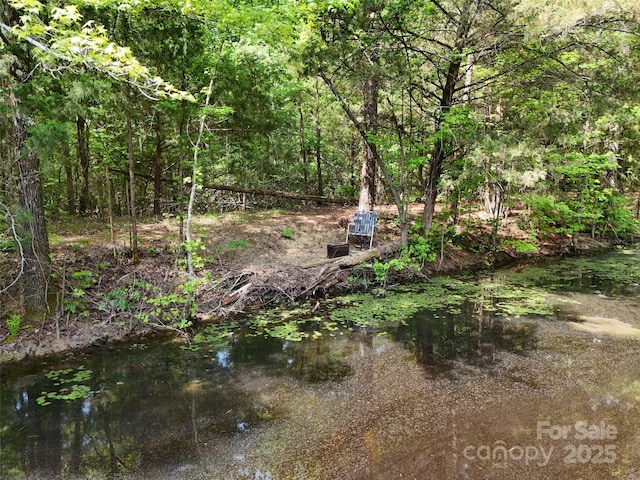 475 Mcmanus Rd, Pageland, SC 29728