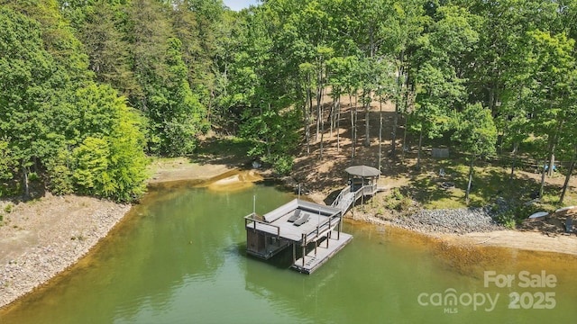 2501 Mt Isle Harbor Dr, Charlotte, NC 28214 - view of dock area