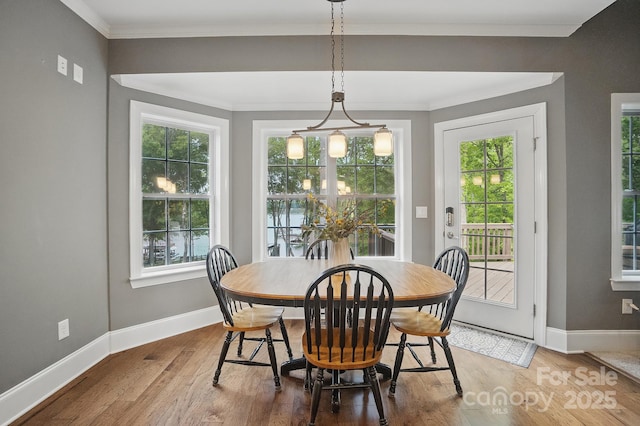 2501 Mt Isle Harbor Dr, Charlotte, NC 28214 - dining area with a healthy amount of sunlight, baseboards, and ornamental molding