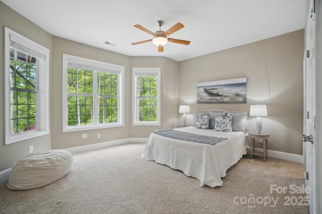 2501 Mt Isle Harbor Dr, Charlotte, NC 28214 - bedroom with carpet floors, visible vents, a ceiling fan, and baseboards
