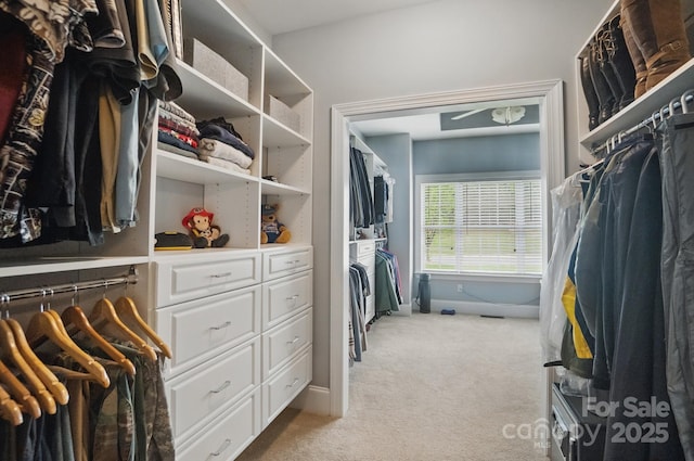 2501 Mt Isle Harbor Dr, Charlotte, NC 28214 - walk in closet with light carpet