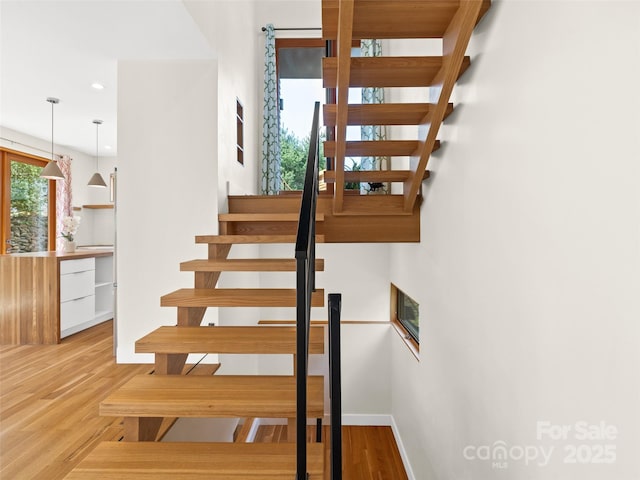 51 Shelburne Woods Dr, Asheville, NC 28806 - photo 8