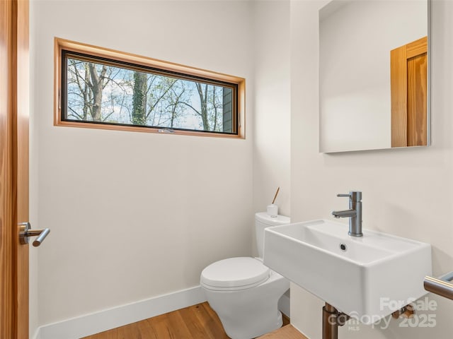 51 Shelburne Woods Dr, Asheville, NC 28806 - photo 18