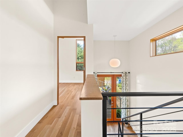 51 Shelburne Woods Dr, Asheville, NC 28806 - photo 30