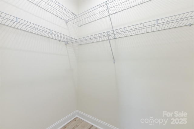 spacious closet featuring light wood finished floors