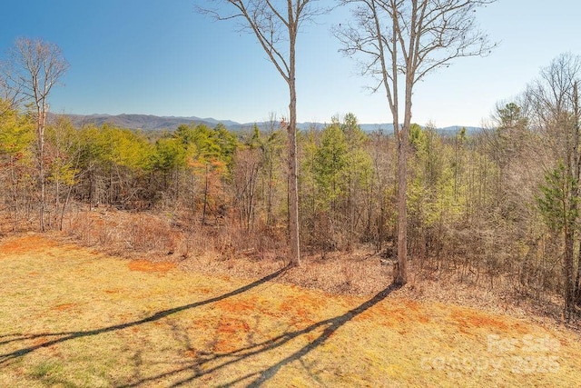 61 Buckle Rdg, Weaverville, NC 28787 - view of woods