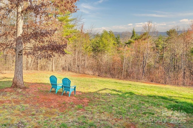 61 Buckle Rdg, Weaverville, NC 28787 - view of green lawn with a wooded view