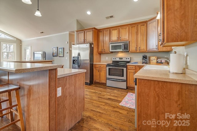 61 Buckle Rdg, Weaverville, NC 28787 - kitchen with appliances with stainless steel finishes, a sink, wood finished floors, crown molding, and lofted ceiling