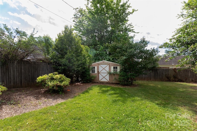 view of yard featuring a storage unit and an outdoor structure