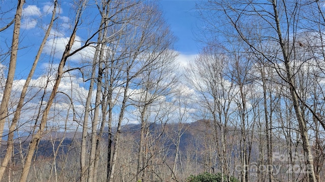 000 Joslin Ln, Burnsville, NC 28714 - photo 1