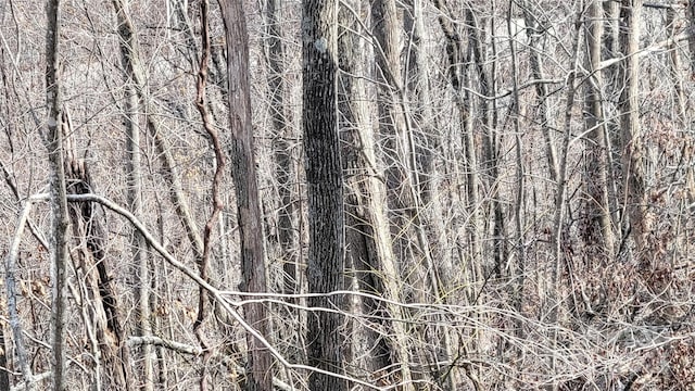 000 Joslin Ln, Burnsville, NC 28714 - photo 5