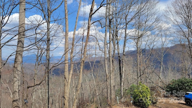 000 Joslin Ln, Burnsville, NC 28714 - photo 23