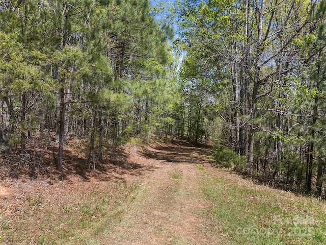 0000 S County Line Rd, Rutherfordton, NC 28139