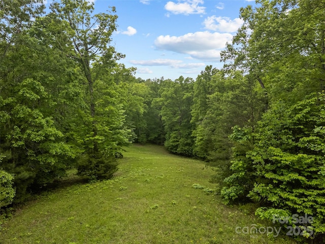 0000 S County Line Rd, Rutherfordton, NC 28139