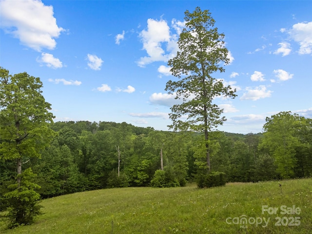 0000 S County Line Rd, Rutherfordton, NC 28139
