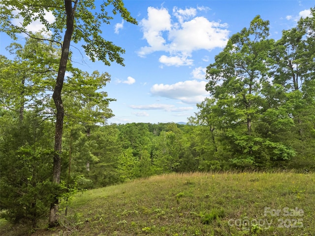 0000 S County Line Rd, Rutherfordton, NC 28139