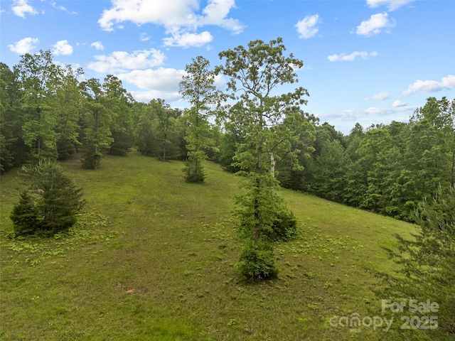 0000 S County Line Rd, Rutherfordton, NC 28139