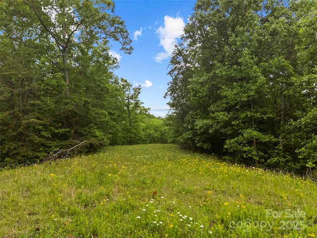 0000 S County Line Rd, Rutherfordton, NC 28139